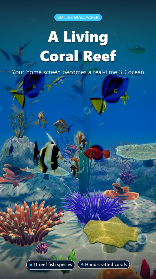 A living coral reef as a live wallpaper