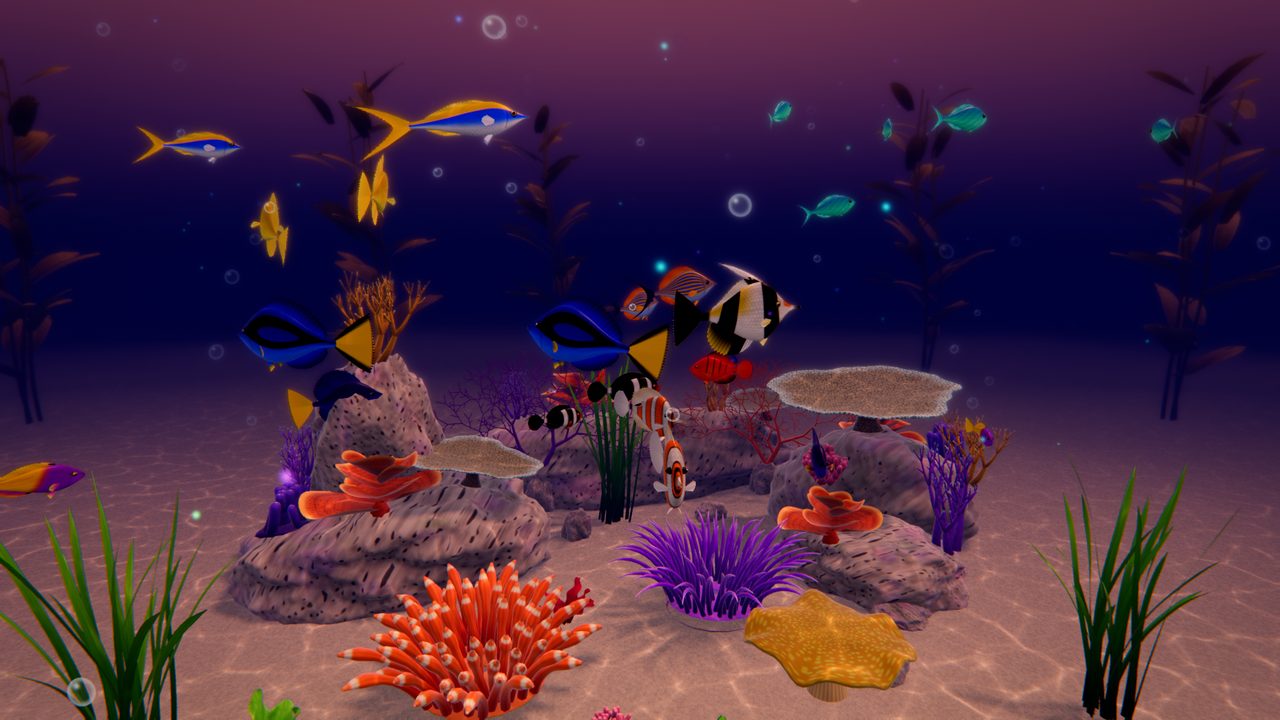 Aquazer reef at golden sunset