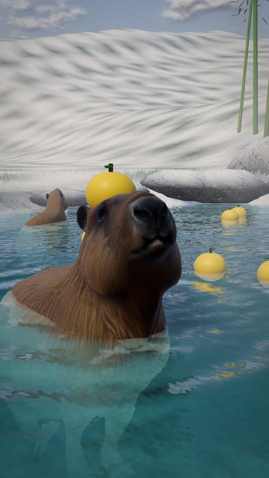 A capybara soaking with a yuzu on its head