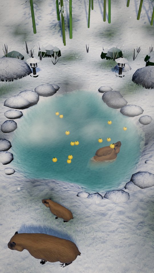 Snow at the hot spring and yuzu floating on the water