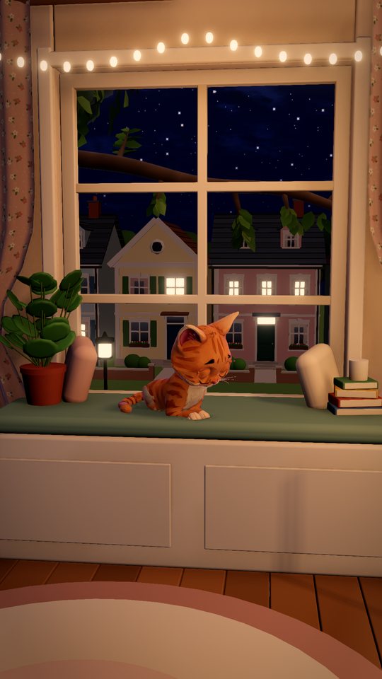 The cat asleep by the window at night, the lamp on